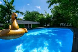 Miami Love&Peace Zen Oasis-Pool- Basketball Hoop